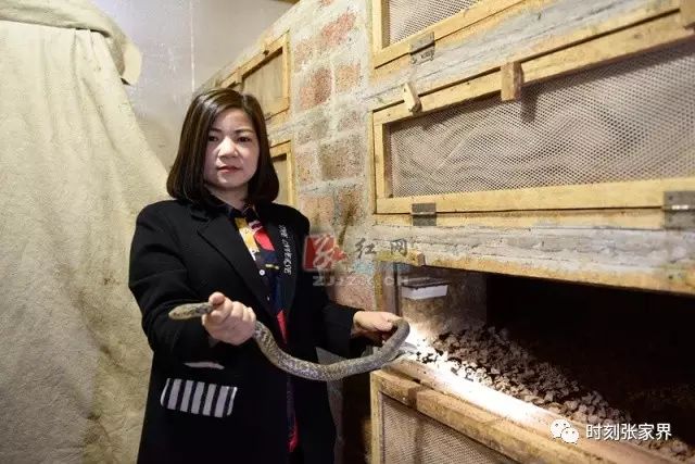 湖南女人养殖致富_湖南养什么赚钱_致富养殖湖南女人视频