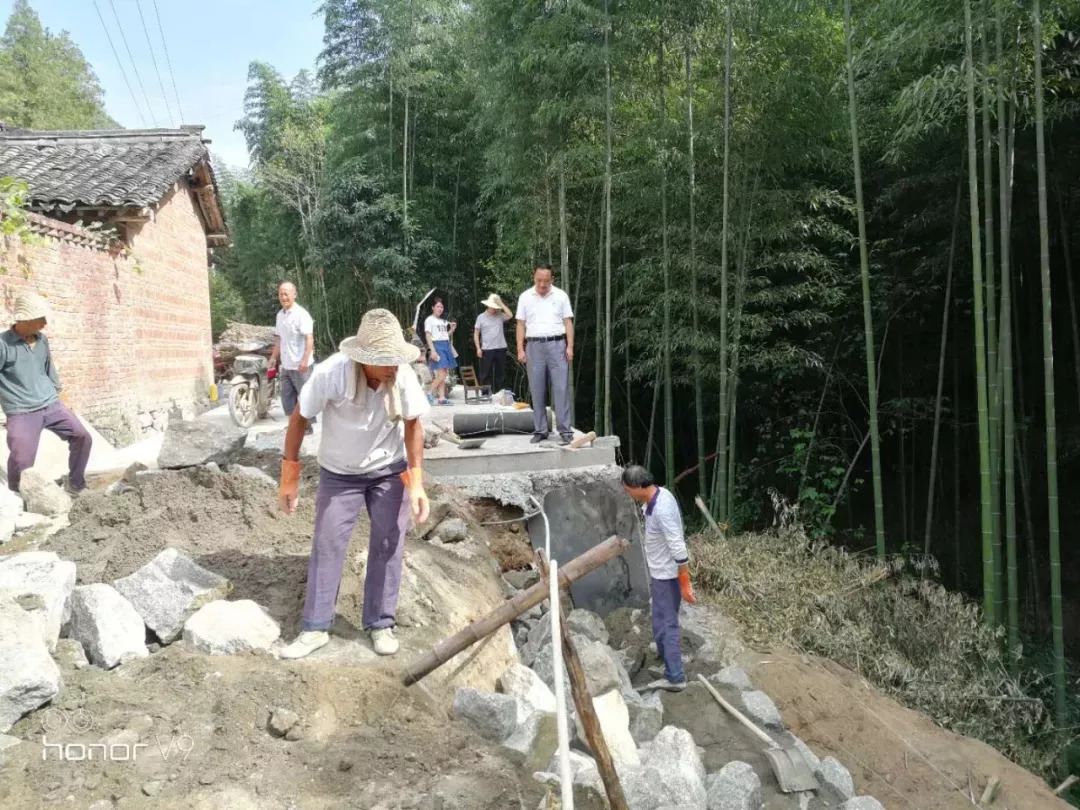 养土蜂前景怎么样_土蜂养殖前景_养土蜂致富经