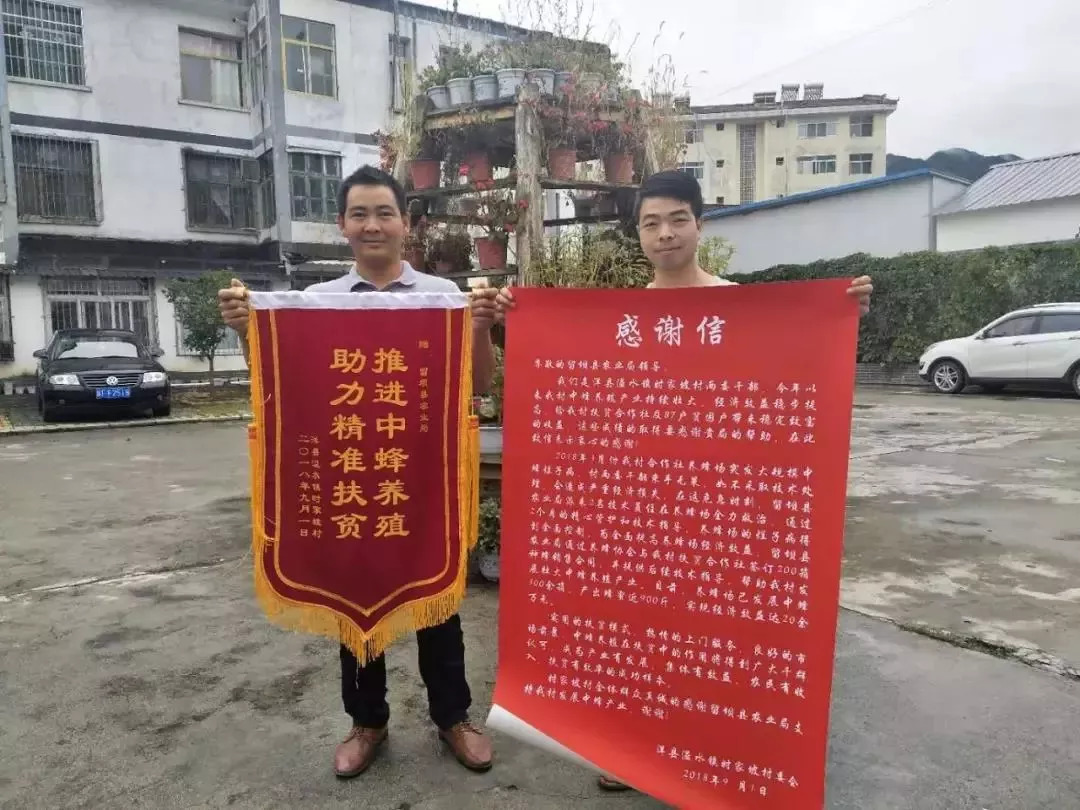 养土蜂致富经_养土蜂前景怎么样_土蜂养殖前景