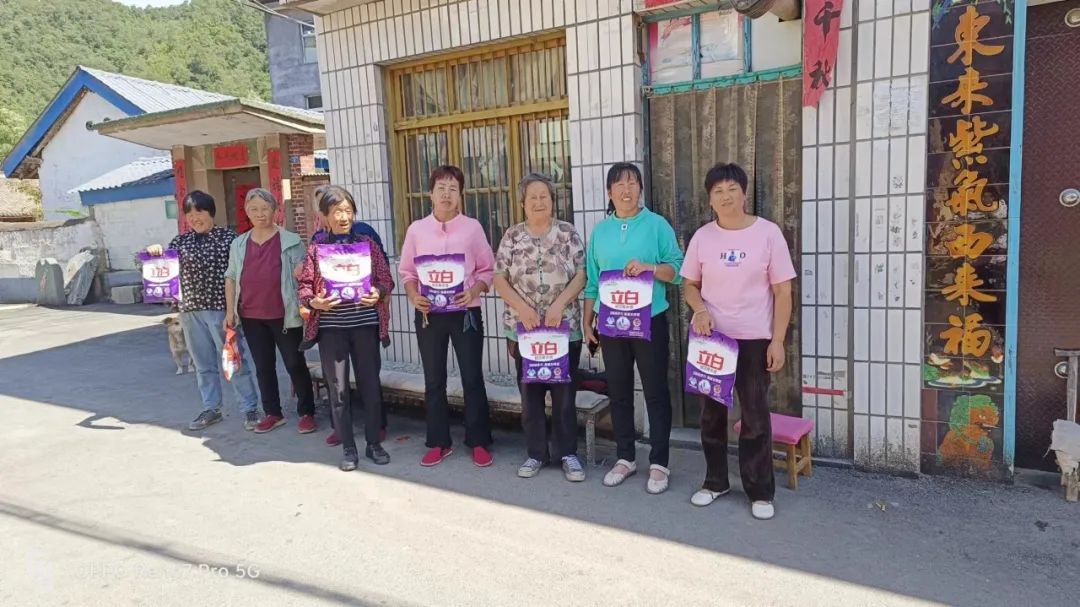 养土蜂致富经_养土蜂前景怎么样_农村养土蜂技术视频