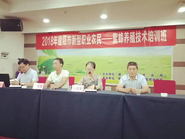 养土蜂致富经_养殖土蜂_农村养土蜂技术视频