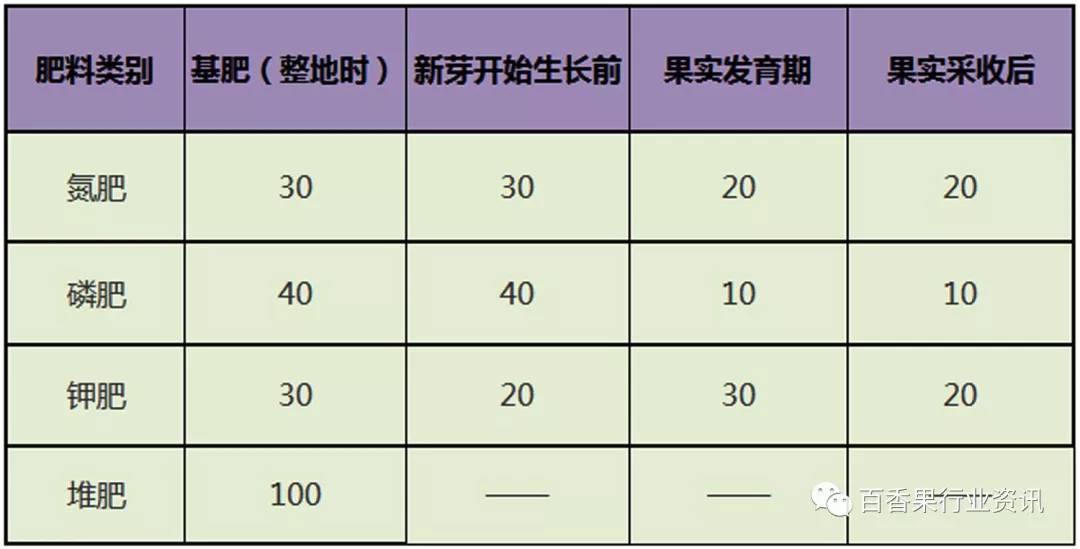 百香果苗种植技术_香种子怎么种_种植香料图片