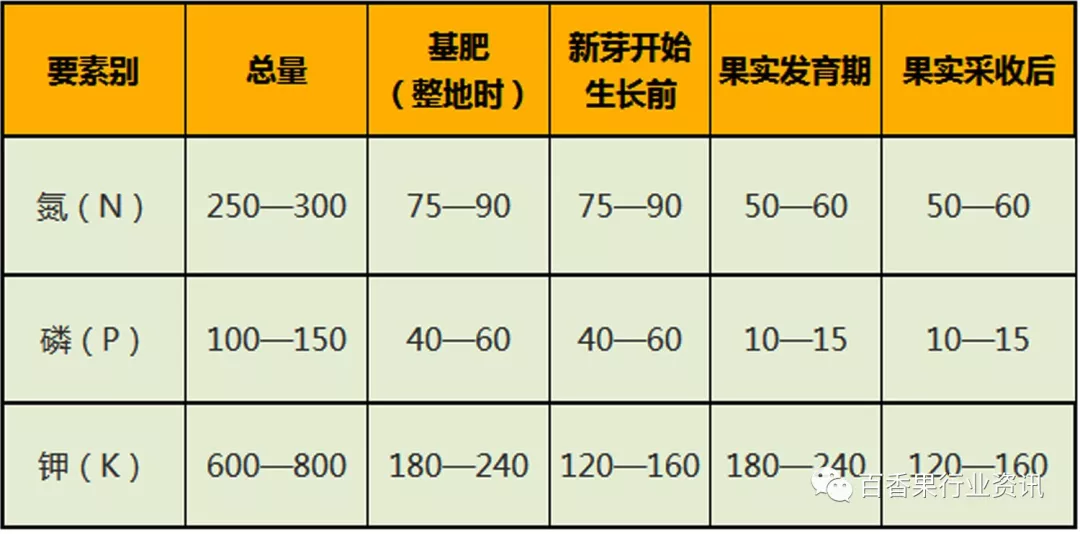 种植香料图片_百香果苗种植技术_香种子怎么种