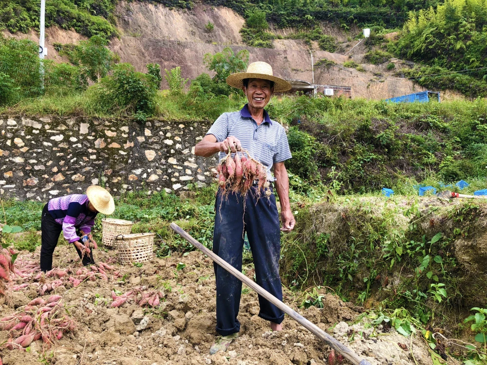 农村致富故事_农村种植致富案例_乡村种植致富故事