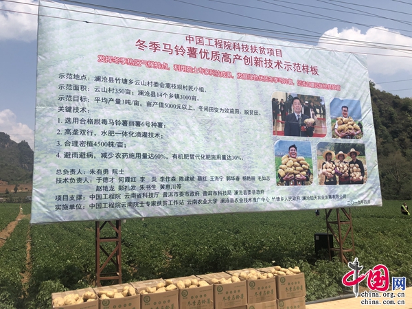 马铃薯项目骗局_致富经-马铃薯项目_致富马铃薯项目有哪些