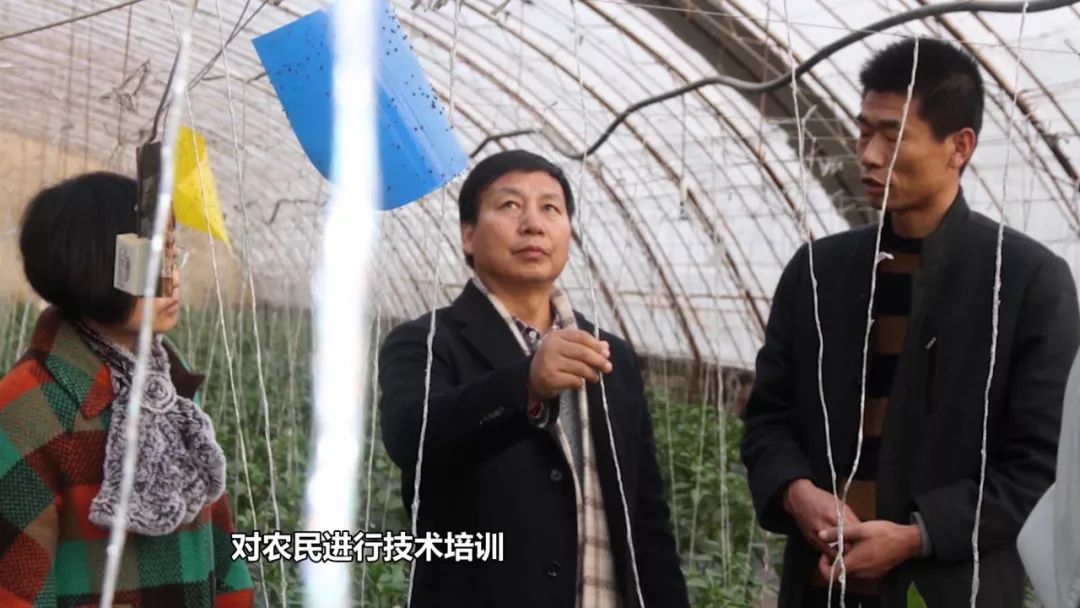 科技农业致富经_致富科技汇编大全_致富农业经