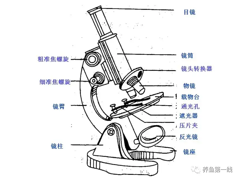 养殖动物浮游技术有哪些_浮游动物养殖技术_养殖动物浮游技术规范