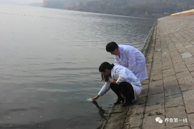 养殖动物浮游技术规范_养殖动物浮游技术有哪些_浮游动物养殖技术