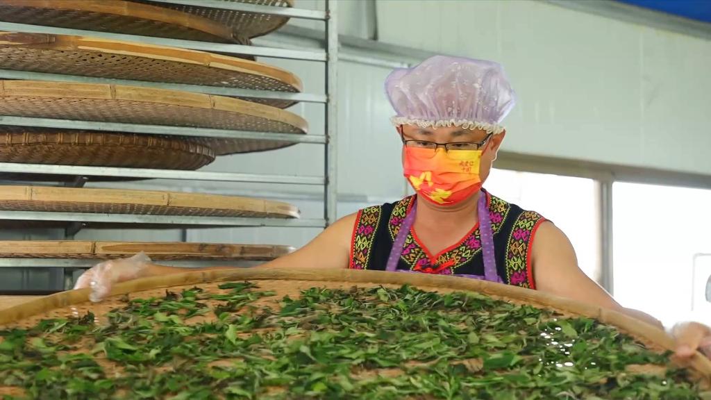 男子养殖食用蜗牛致富案例_致富经蜗牛养殖视频_食用蜗牛养殖成本