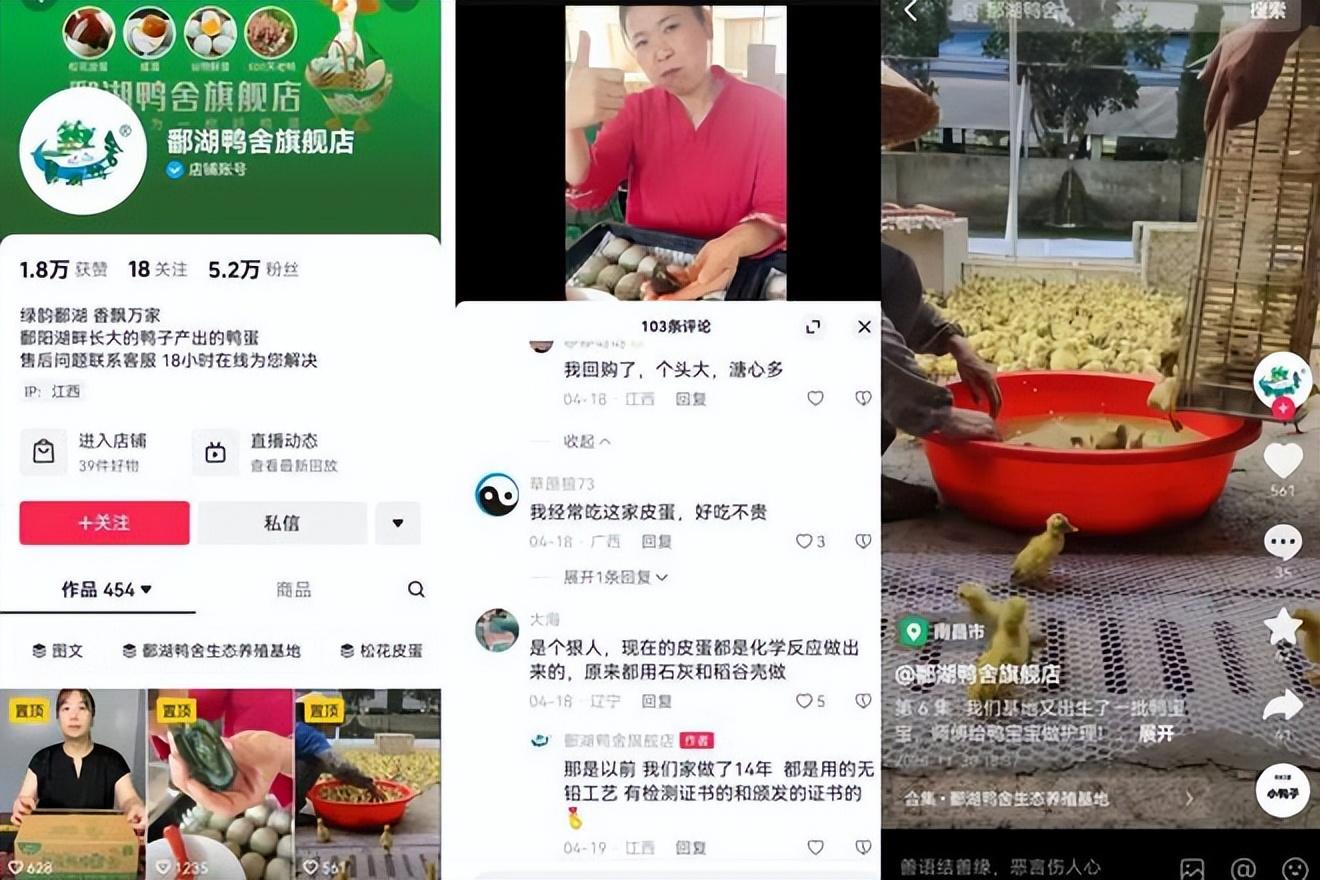 大棚养蛋鸭的视频_圈养蛋鸭养殖视频播放_蛋鸭养殖技术视频播放