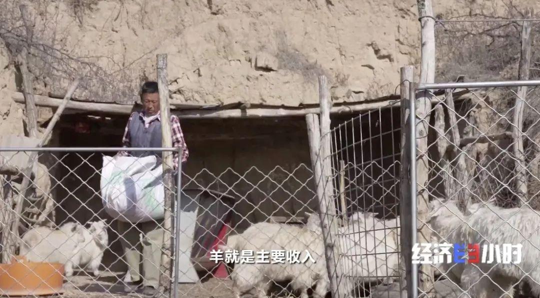 湖羊养殖技术大全_湖羊养殖技术要点视频_湖羊养殖技术指导