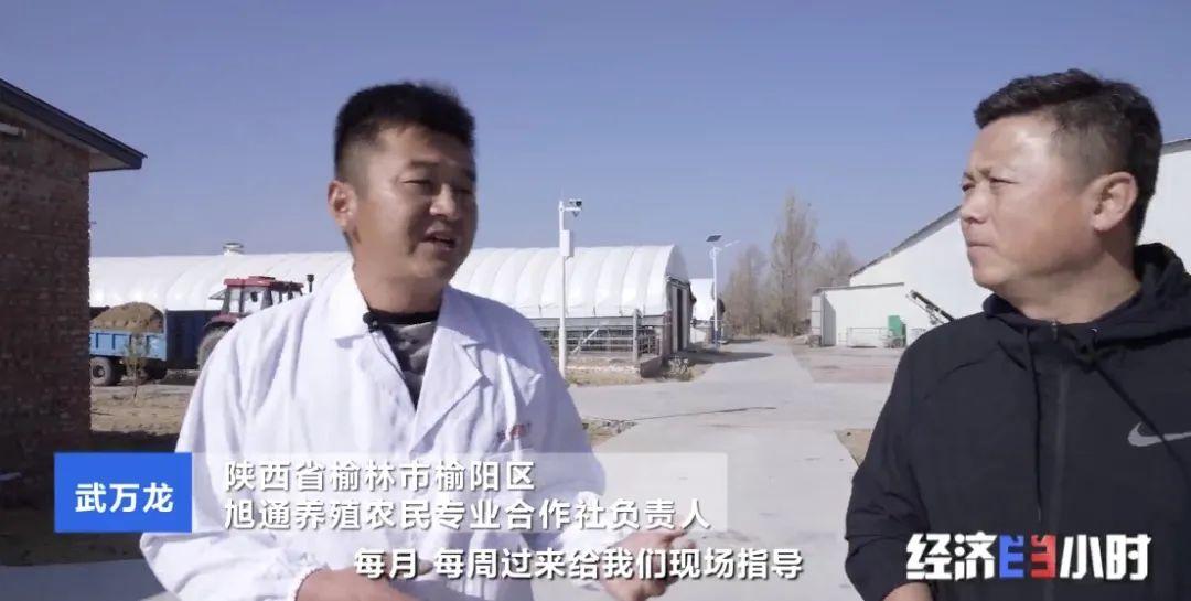 湖羊养殖技术要点视频_湖羊养殖技术大全_湖羊养殖技术指导