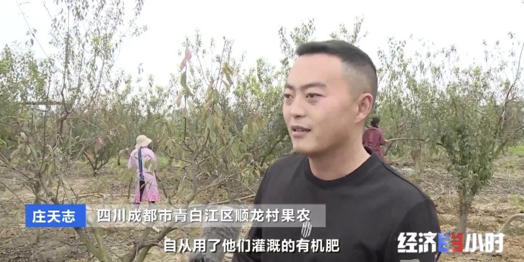 湖羊养殖技术指导_湖羊养殖技术要点视频_湖羊养殖技术大全