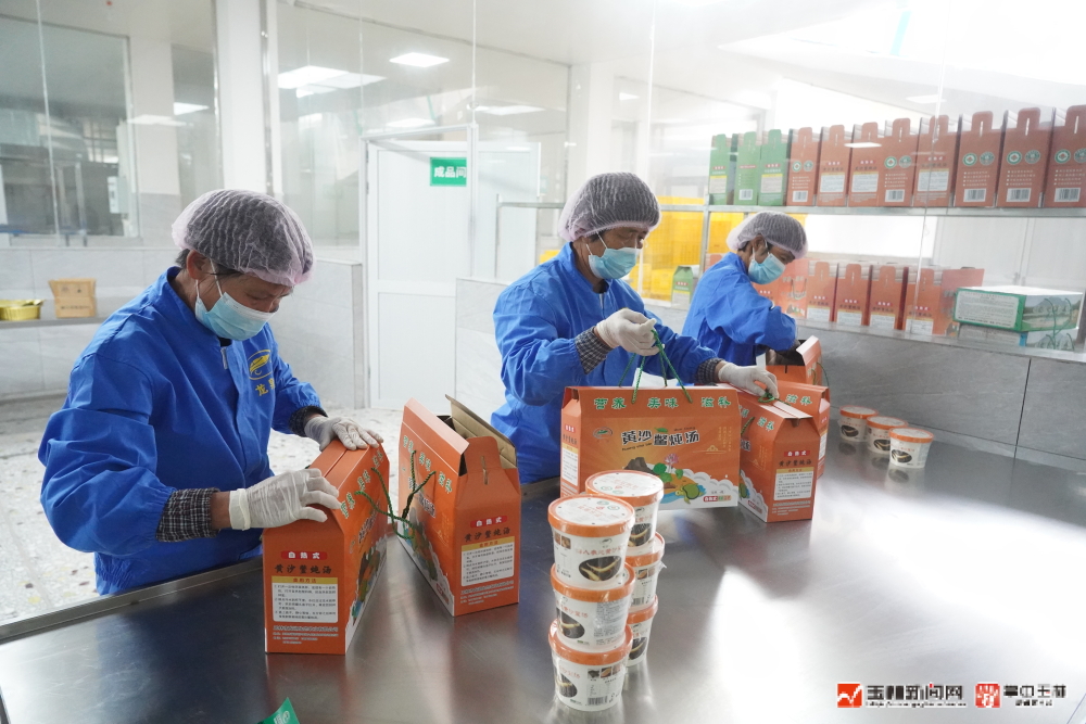 养殖甲鱼挣钱吗_致富养殖甲鱼项目简介_养殖甲鱼致富项目
