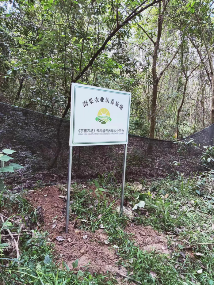 养土公鸡的利润与成本_土公鸡养殖_致富经养土公鸡