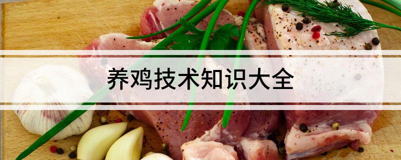 养鸡技术知识大全