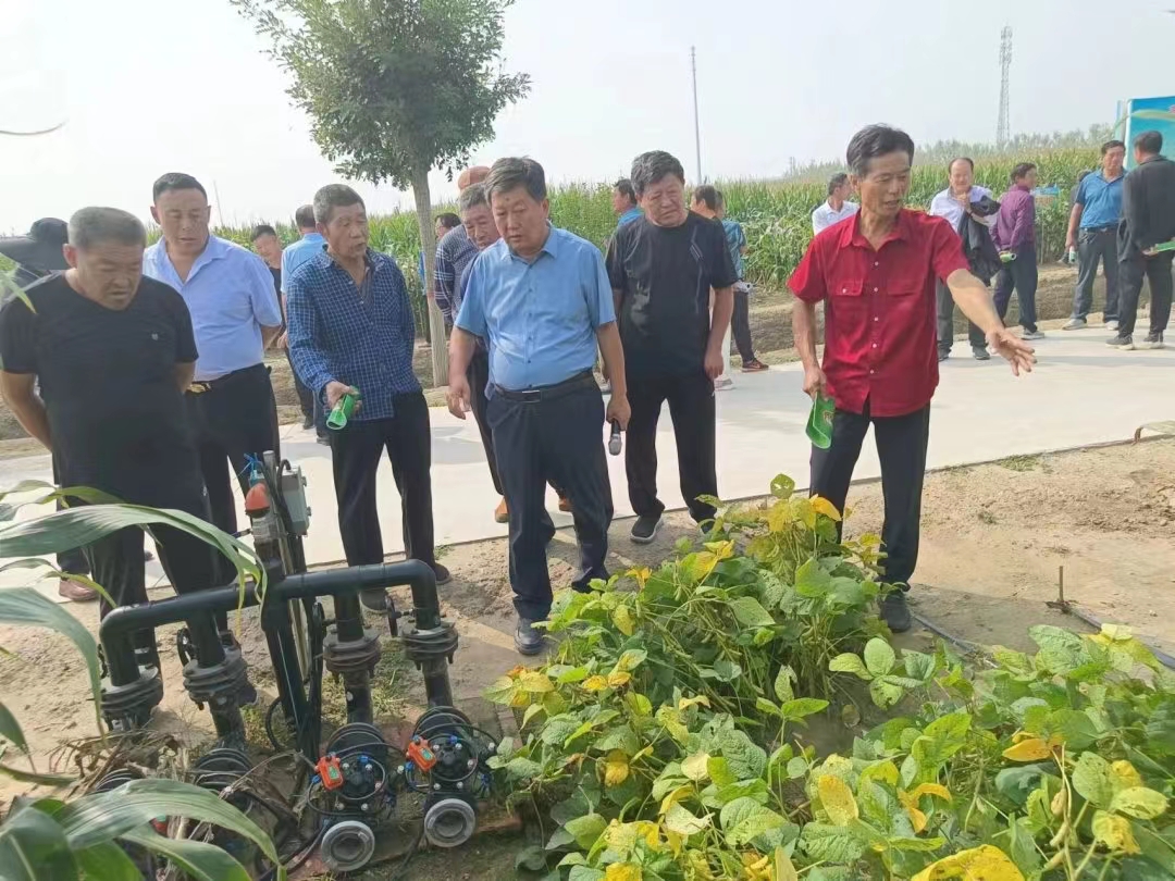 花生种植收益如何_花生种植视频农广天地_种植花生致富之路