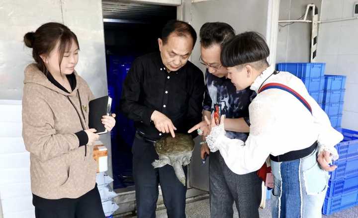 致富经藕塘养殖甲鱼_致富养殖甲鱼藕塘图片_致富养殖甲鱼藕塘图片大全