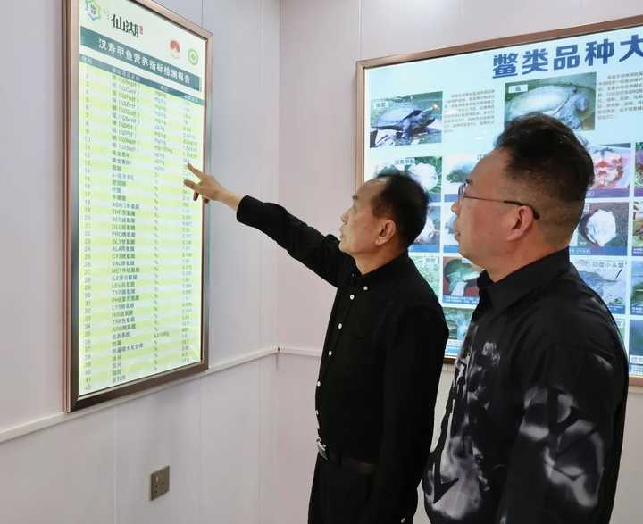 致富养殖甲鱼藕塘图片大全_致富养殖甲鱼藕塘图片_致富经藕塘养殖甲鱼