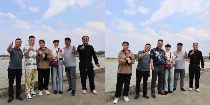 致富经藕塘养殖甲鱼_致富养殖甲鱼藕塘图片大全_致富养殖甲鱼藕塘图片