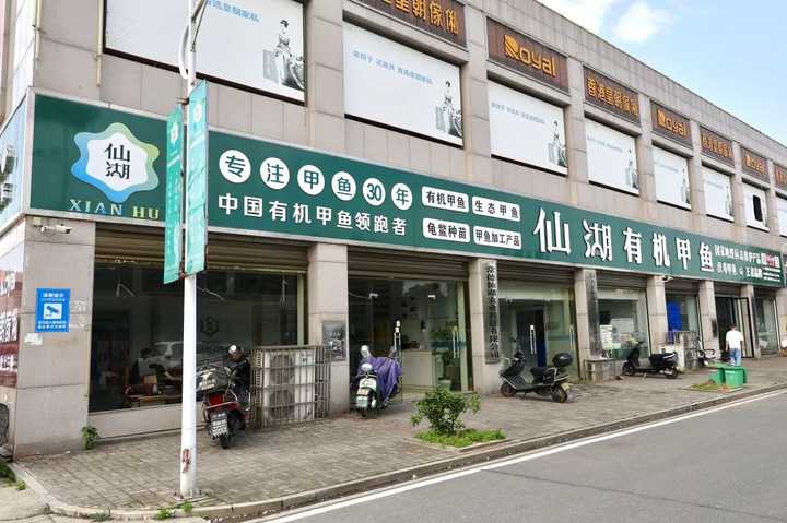 致富养殖甲鱼藕塘图片大全_致富养殖甲鱼藕塘图片_致富经藕塘养殖甲鱼