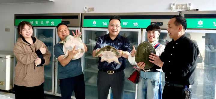 致富养殖甲鱼藕塘图片大全_致富经藕塘养殖甲鱼_致富养殖甲鱼藕塘图片