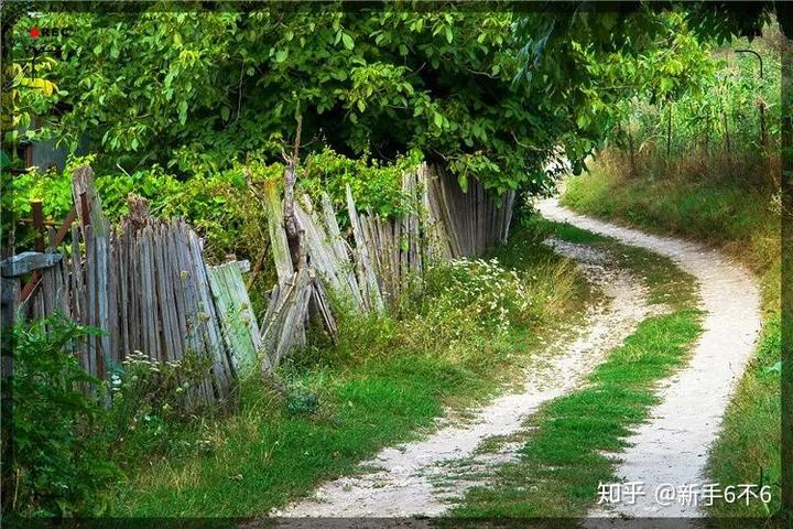 致富养殖种草草鱼好吗_致富养殖种草草鱼图片_种草养殖草鱼致富
