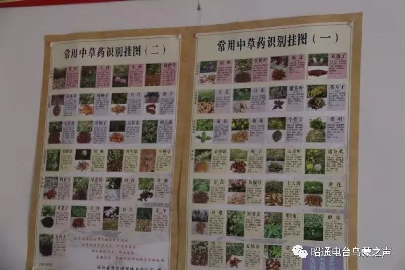 中央农业致富经种瓜蒌_种植瓜蒌政府有补贴么_2019种植瓜蒌补贴政策