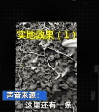 珠海养殖蚯蚓找技术人员_珠海蚯蚓养殖基地_珠海找蚯蚓养殖技术