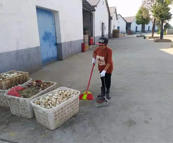 致富养殖好项目大全_女性养殖致富案例_致富养殖信息