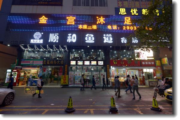 缩骨大头鱼养殖技术_缩骨大头鱼苗哪里有_缩骨大头鱼养殖技术视频