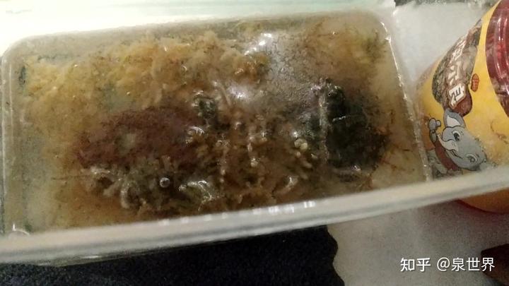 致富经养殖甲鱼视频_养殖业甲鱼最赚钱农村_甲鱼养殖视频致富经