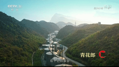 2020央视致富经_cctv7致富致富经频道_致富经cctv7近期