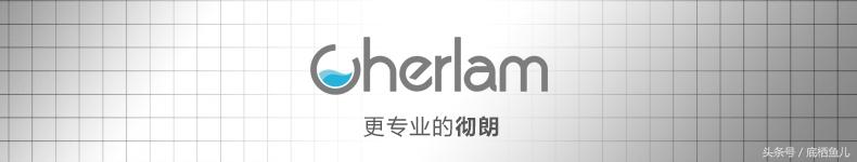 养殖黑道技术有哪些_五道黑养殖技术_养殖黑鱼有什么技巧