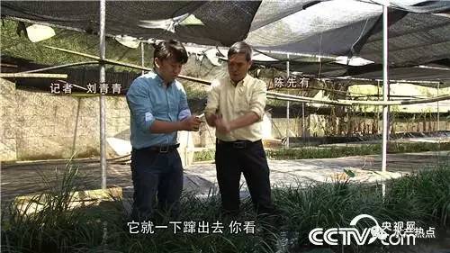靠养殖发家的富豪_外国养殖业_国外男人养殖致富