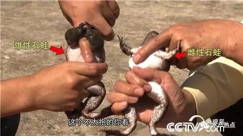 国外男人养殖致富_外国养殖业_靠养殖发家的富豪