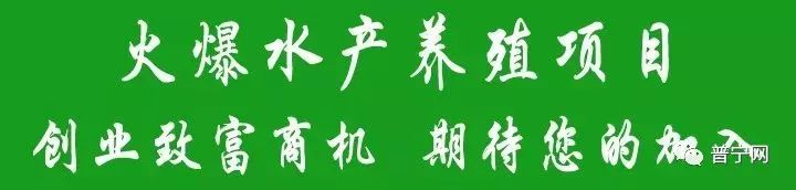 养殖致富的朋友_养殖致富的语句_致富养殖朋友圈文案
