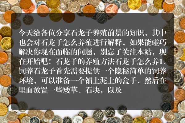 石龙子的养殖方法石龙子怎么养