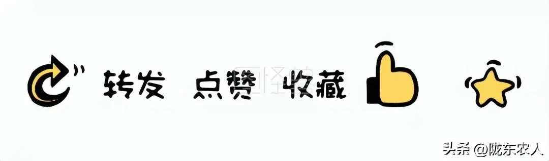 蜜蜂致富养殖故事视频_蜜蜂养殖致富故事_养蜜蜂的故事