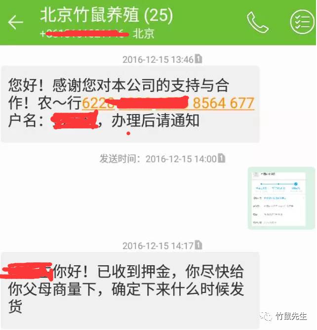 提供竹鼠养殖技术_提供竹鼠养殖技术_提供竹鼠养殖技术
