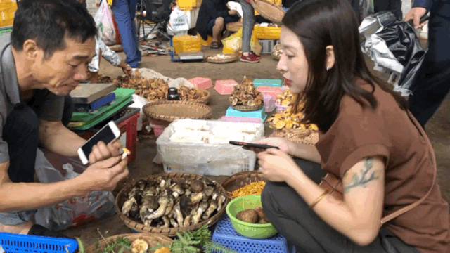 菌类种植技术视频_菌类种植视频_菌子种植技术视频