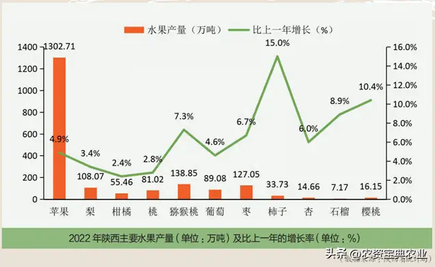 水果种植科技_水果种植农户_水果农物种植技术