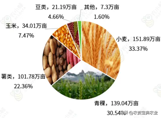 水果种植农户_水果农物种植技术_水果种植科技