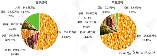 水果农物种植技术_水果种植科技_水果种植农户