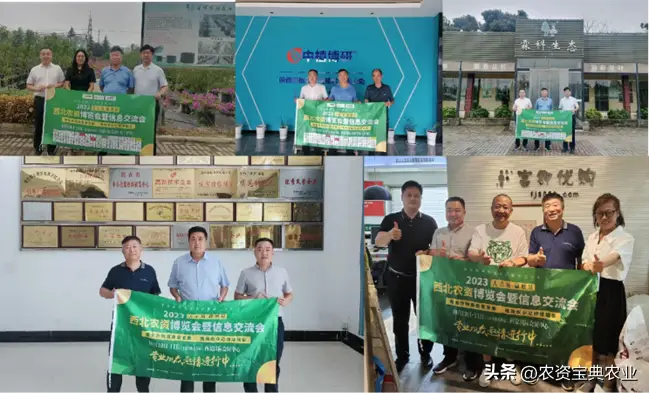 水果种植科技_水果农物种植技术_水果种植农户