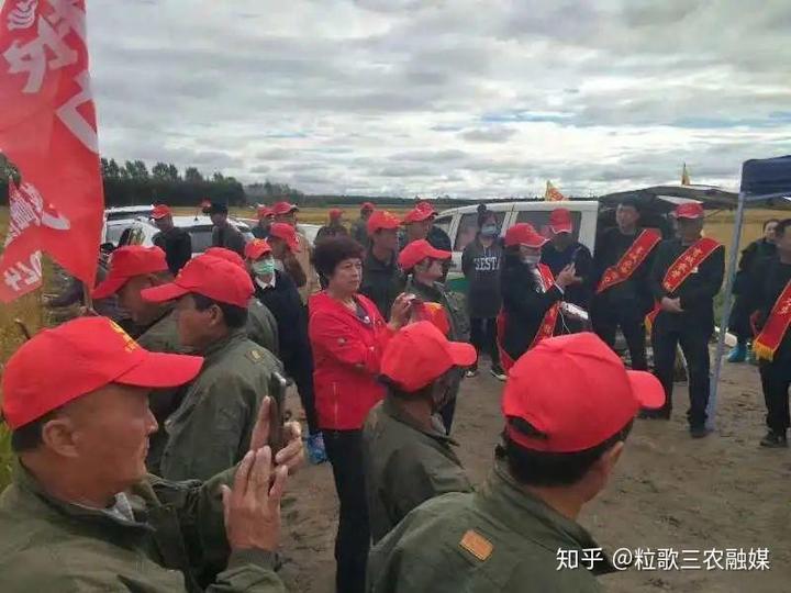 致富种植寒葱图片_寒葱种植技术视频_寒葱种植致富