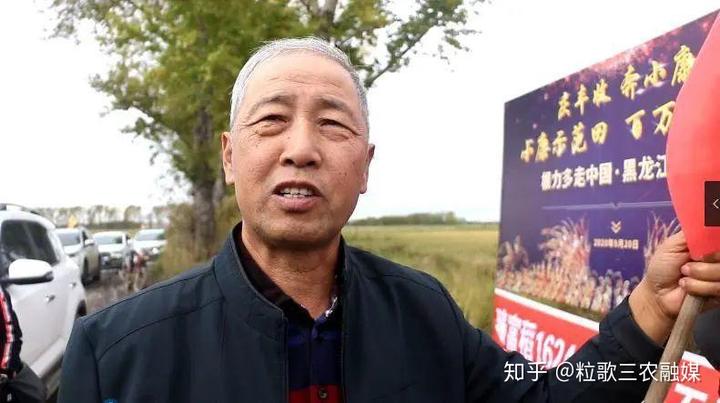 寒葱种植致富_寒葱种植技术视频_致富种植寒葱图片