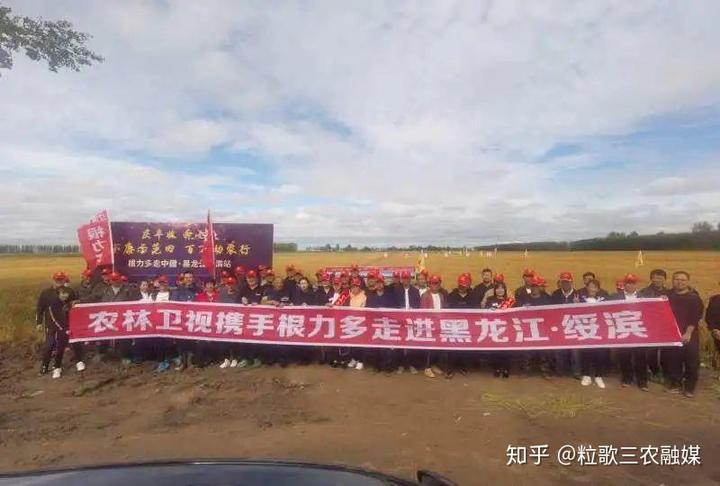 致富种植寒葱图片_寒葱种植技术视频_寒葱种植致富