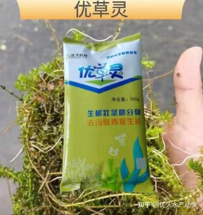夏季养殖致富方法_371种养致富经_致富经农业养殖视频