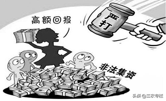 知了猴人工养殖技术_知了猴养殖技术 骗局_知了猴养殖条件